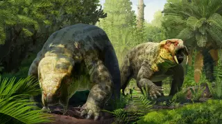 Image via ScienceDaily