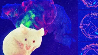 Image via MIT Technology Review