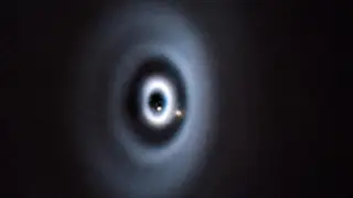 Image via ScienceDaily