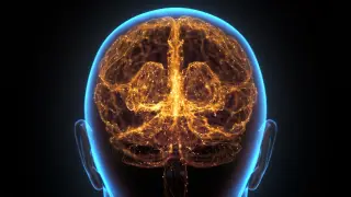 Image via ScienceDaily