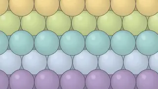 Image via Scientific American