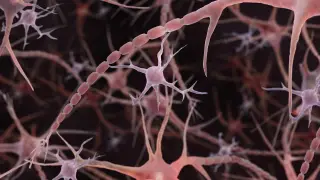 Image via ScienceDaily