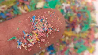 Image via ScienceDaily