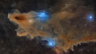 Image via Live Science