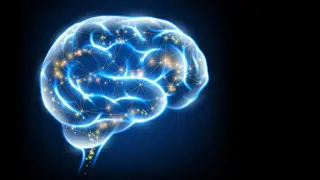 Image via ScienceDaily