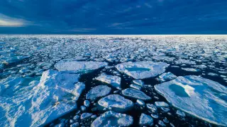 Image via ScienceDaily