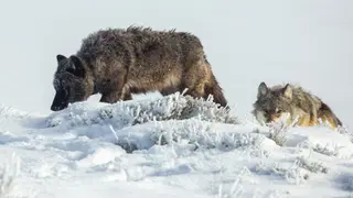 Image via Inside Climate News