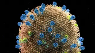 Image via MedPage Today