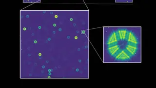 Image via Scientific American