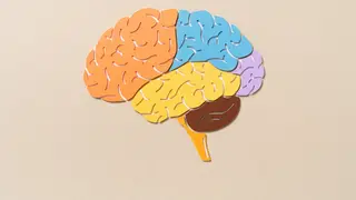 Image via Scientific American