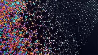 Image via ScienceDaily