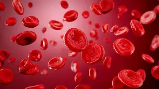Image via ScienceDaily