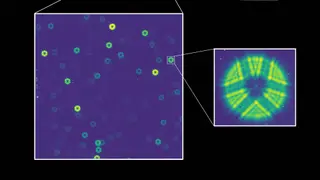 Image via Live Science