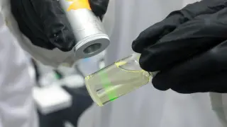 Image via ScienceDaily
