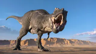 Image via ScienceDaily