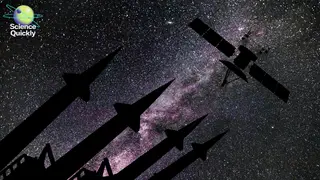 Image via Scientific American