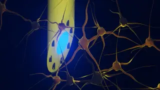 Image via ScienceDaily