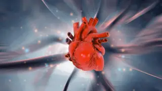 Image via ScienceDaily