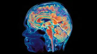 Image via ScienceDaily