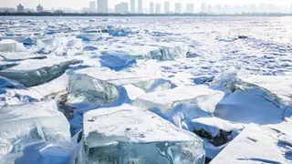 Image via New Scientist