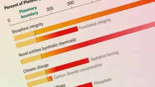 Image via Scientific American