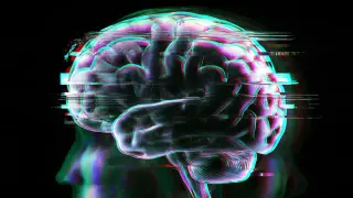Image via ScienceDaily