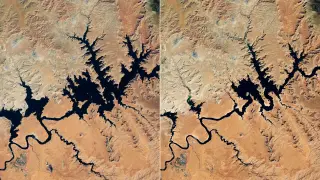 Image via ScienceDaily