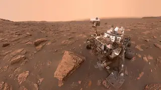 Image via Live Science
