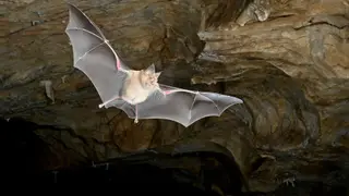Image via Live Science
