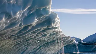 Image via New Scientist
