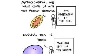 Image via New Scientist