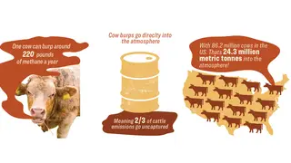 Image via CleanTechnica