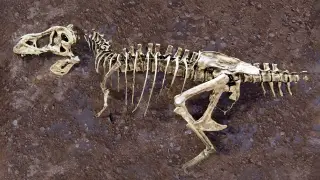 Image via ScienceDaily