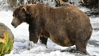 Image via EarthSky