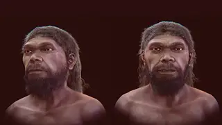 Image via Sci.News