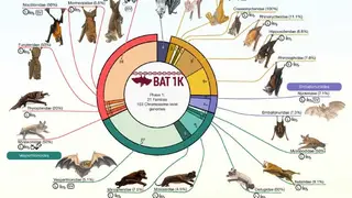 Image via Sci.News