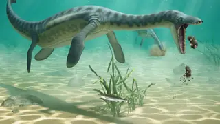 Image via Sci.News