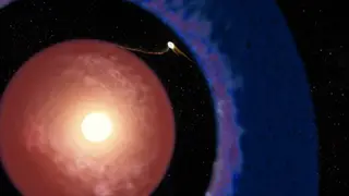 Image via Sci.News