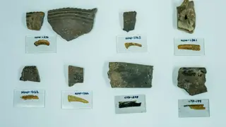 Image via Archaeology News Online Magazine