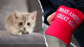 Image via Fox News