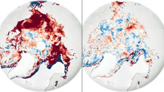 Image via ScienceDaily