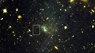 Image via ScienceDaily