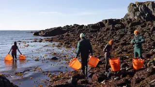 Image via Inside Climate News