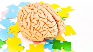 Image via ScienceDaily