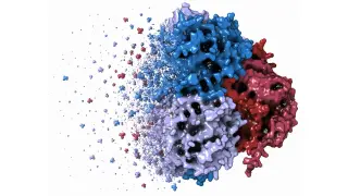 Image via ScienceDaily