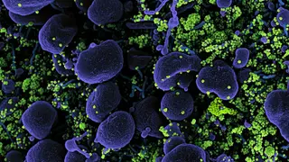 Image via Global Biodefense