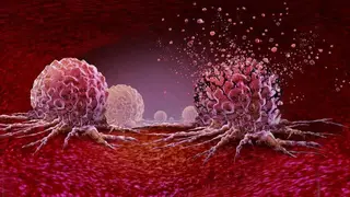 Image via SciTechDaily