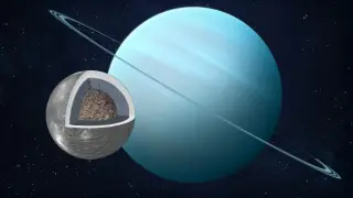 Image via ScienceDaily