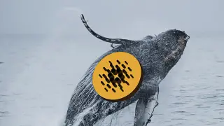 Image via Bitcoin Haber