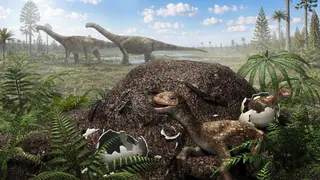 Image via Sci.News